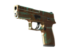 P250 | Verdigris image